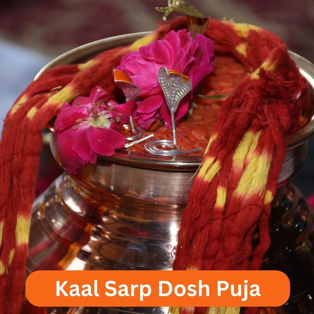 नागचंद्रेश्वर मंदिर में पूजा